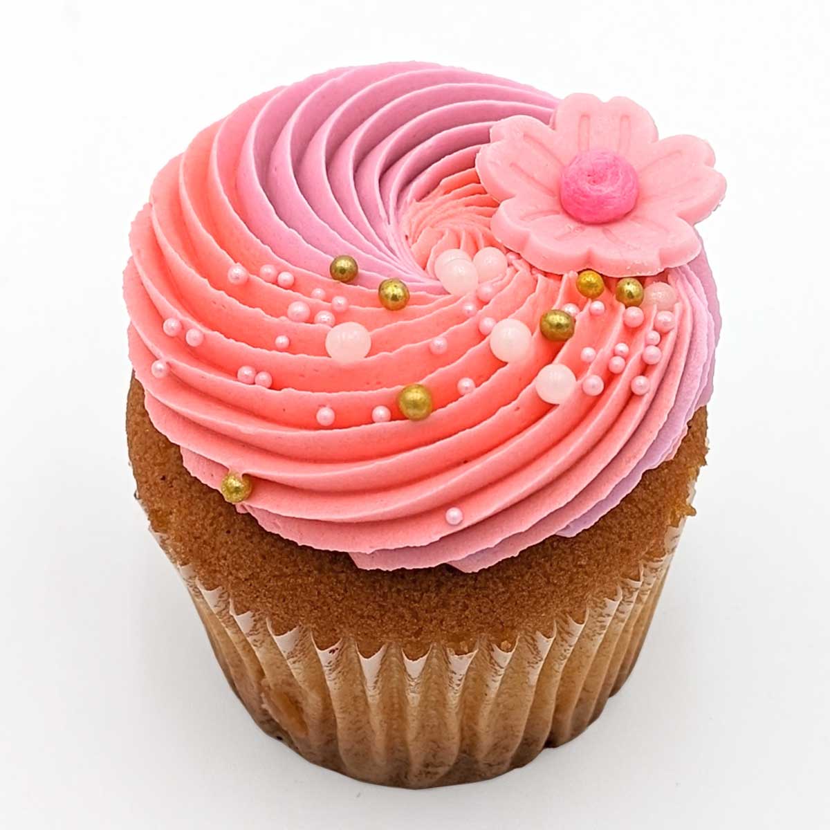 MD-Med-1.jpg?v=1710268521