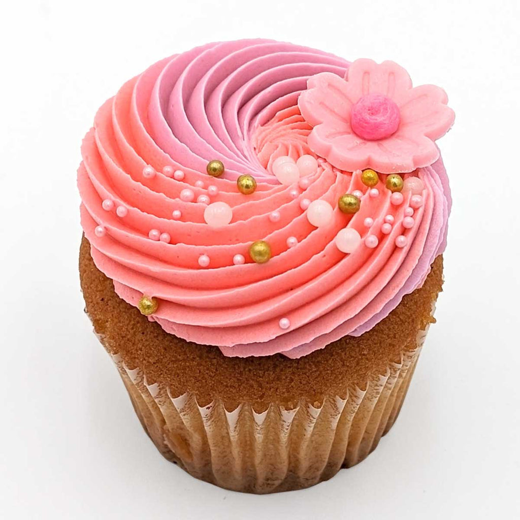 pink cupcake MD-Med-1_1024x1024.jpg?v=