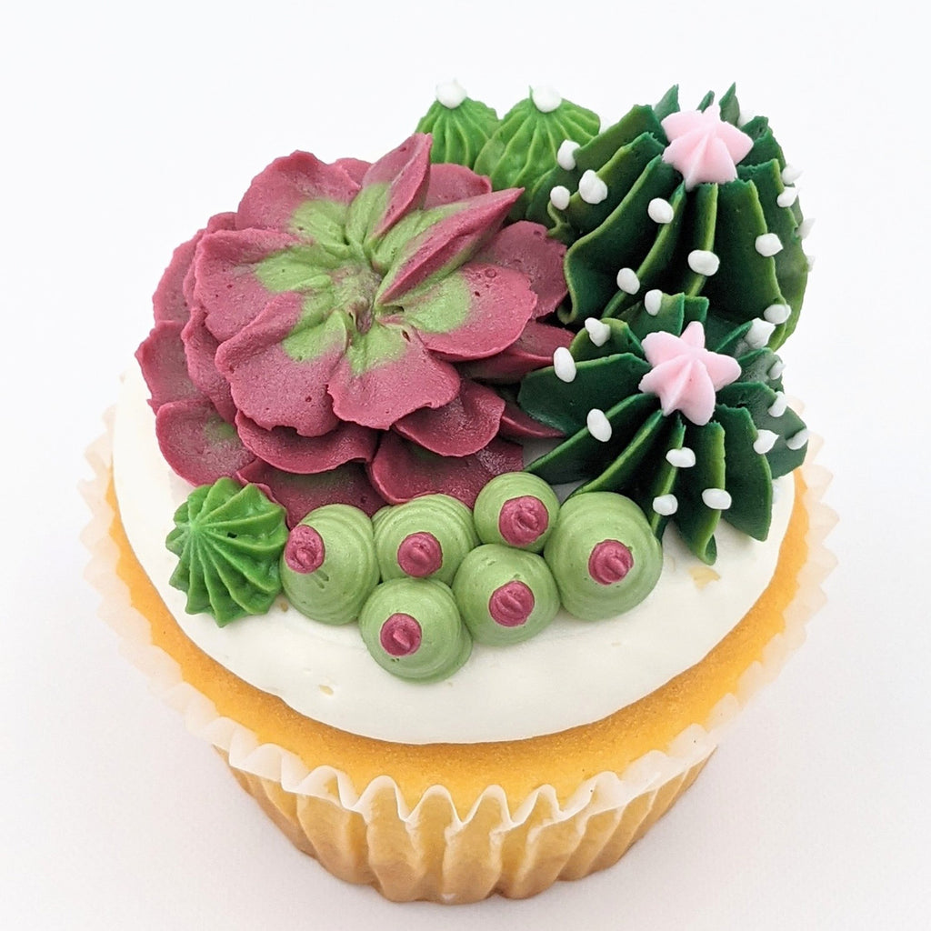 succulent cupcake Large Cupcake: Succulent Assortment – Deerfields Bakery