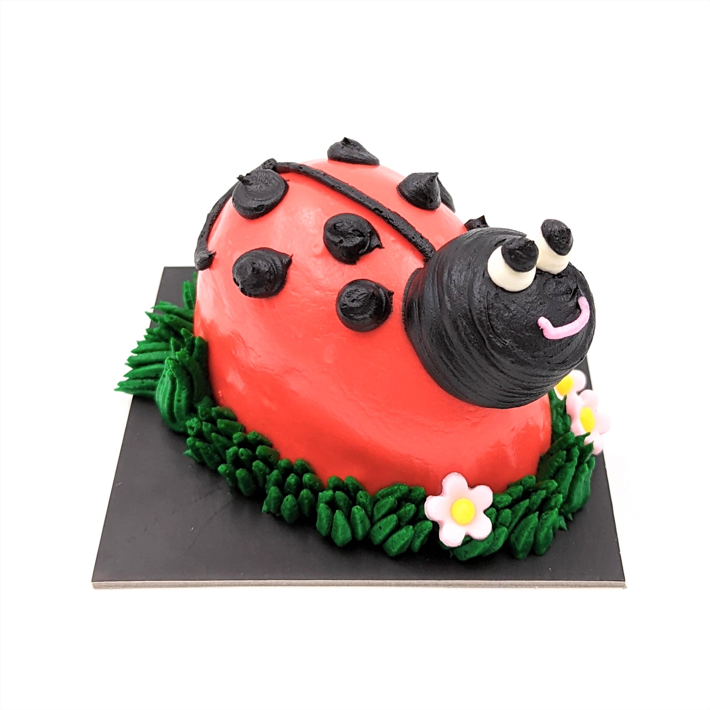 Beetle cake tutorial bug birthday cakes! - YouTube